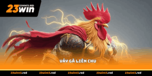 Vảy Gà Liên Chu - Tìm Hiểu Chi Tiết Cùng Chuyên Gia